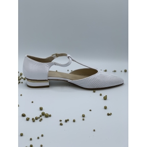VERN.BARBOT BLANCHE Blanche