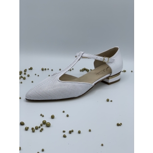 VERN.BARBOT BLANCHE Blanche