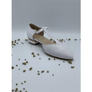 VERN.BARBOT BLANCHE Blanche