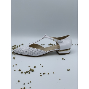 VERN.BARBOT BLANCHE Blanche