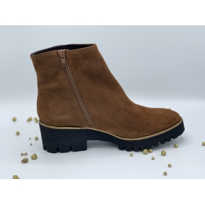 VELOURS GOLD  Bruin