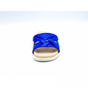 DAVID ROYAL BLUE ROYAL BLUE