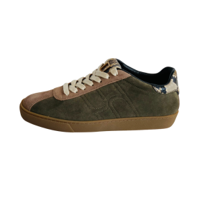  OLIVE